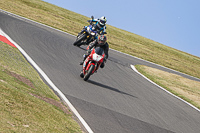 Middle Group Red Bikes